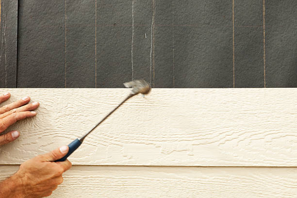 Best Brick Veneer Siding  in Malvern, IA